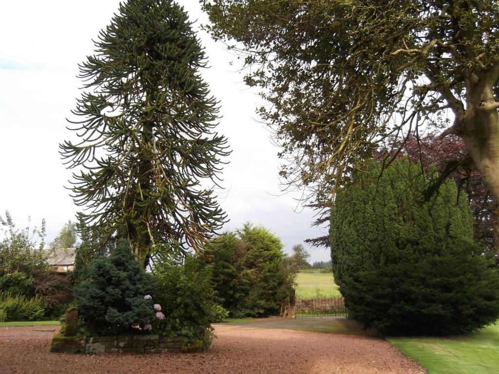 Kirkpatrick House Panzió Gretna Green Kültér fotó